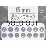 あわび本舗 あわび目玉 6mm：日本あわび/ブラック【ネコポス配送可】