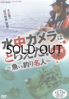 DVD]釣り東北社 ジャーキングスピリットIII【ネコポス配送可】の通販 